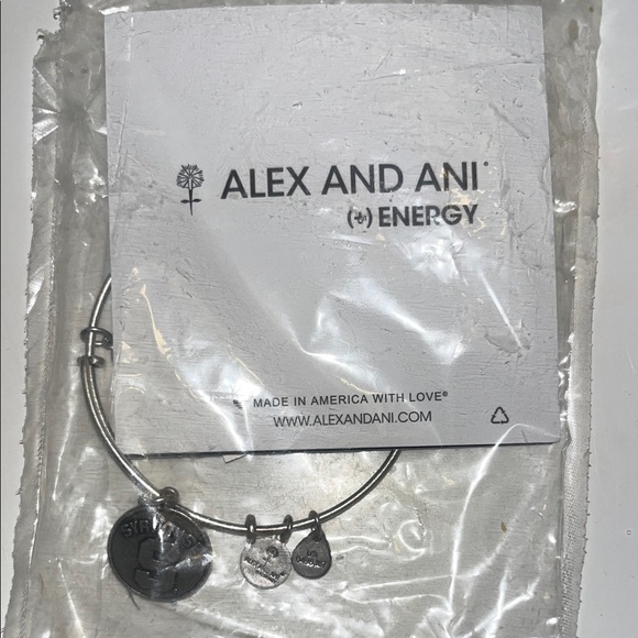 Alex and Ani Silver Syracuse Charm Bracelet - Picture 4 of 4